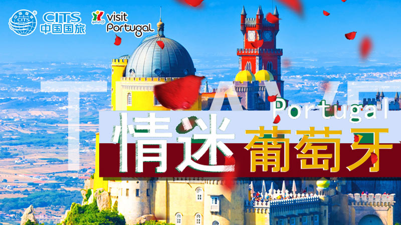旅游海外市場營銷方案-國旅海外推廣案例